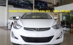 Hyundai Elantra    2015 - Cần bán Hyundai Elantra đời 2015, màu trắng, nhập khẩu, giá tốt giá 649 triệu tại Đà Nẵng