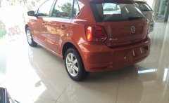 Volkswagen Polo 2016 - Bán ô tô nhập nguyên chiếc đức Volkswagen Polo Hacthback màu cam, chỉ cần 300 triệu lấy xe ngay. LH 0902608293 giá 735 triệu tại Đồng Nai