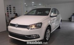 Volkswagen Polo 2017 - Bán ô tô Volkswagen Polo sản xuất 2017, màu trắng, nhập khẩu nguyên chiếc giá cạnh tranh giá 690 triệu tại Đồng Nai