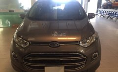 Ford EcoSport AT 2016 - Bán EcoSport 2016 AT, 550tr, đã đi 30.000km, BH 1 năm, xe đẹp không lỗi lầm giá 550 triệu tại Tp.HCM