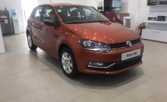 Volkswagen Polo 2016 - Tôi cần bán xe 5 chỗ nhập Đức, xe mới giá chỉ 599tr giá 599 triệu tại Đồng Nai